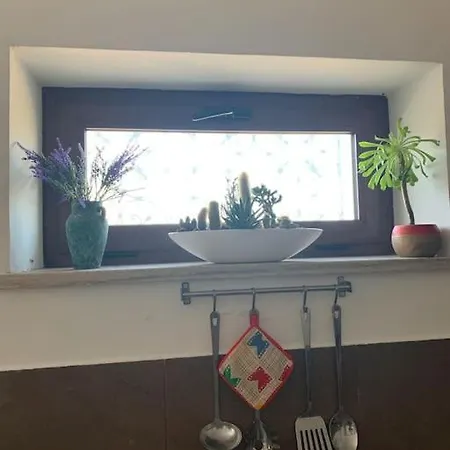 La Petite Maison Apartament *